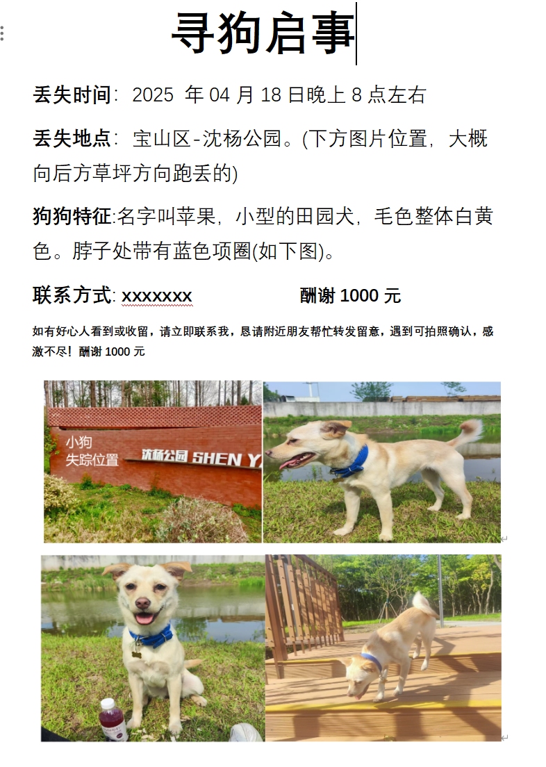 寻狗启事